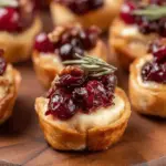 Cranberry Brie Bites